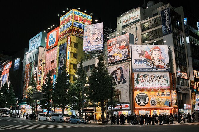 Tokyo: Private Walking Tour with a Local Guide - Meiji Shrine: a quick reset between loud neighborhoods