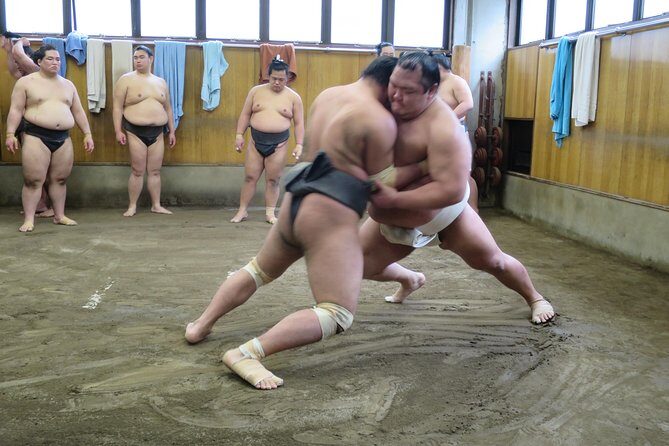 Tokyo Ryogoku Sumo Morning Practice + Photo Shoot with Wrestlers - Key things you’ll notice on this sumo morning