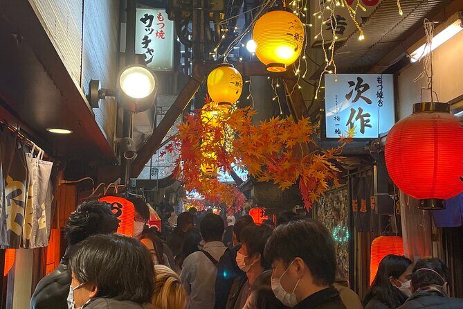 Tokyo: Shinjuku Local Bar & Izakaya Crawl Tour - Karaoke at the End: What to Expect From the Ending Energy