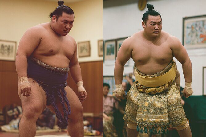 Tokyo Shinjuku Sumo Show & Experience with Photo - A Shinjuku Sumo Show You Can Understand Fast
