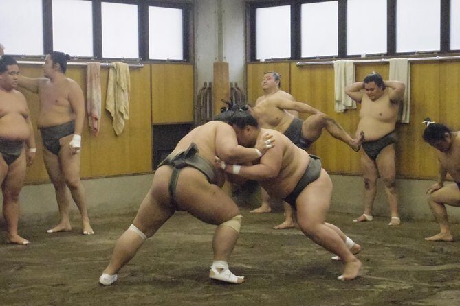 Tokyo Sumo Morning Practice Tour at Stable - Entering the Stable: What the 90 Minutes of Practice Look Like