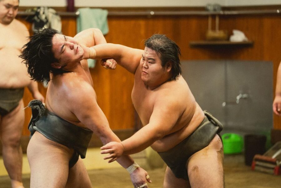 Tokyo: Sumo Morning Practice Tour at Sumida City - Key things you’ll notice on this Sumida sumo tour