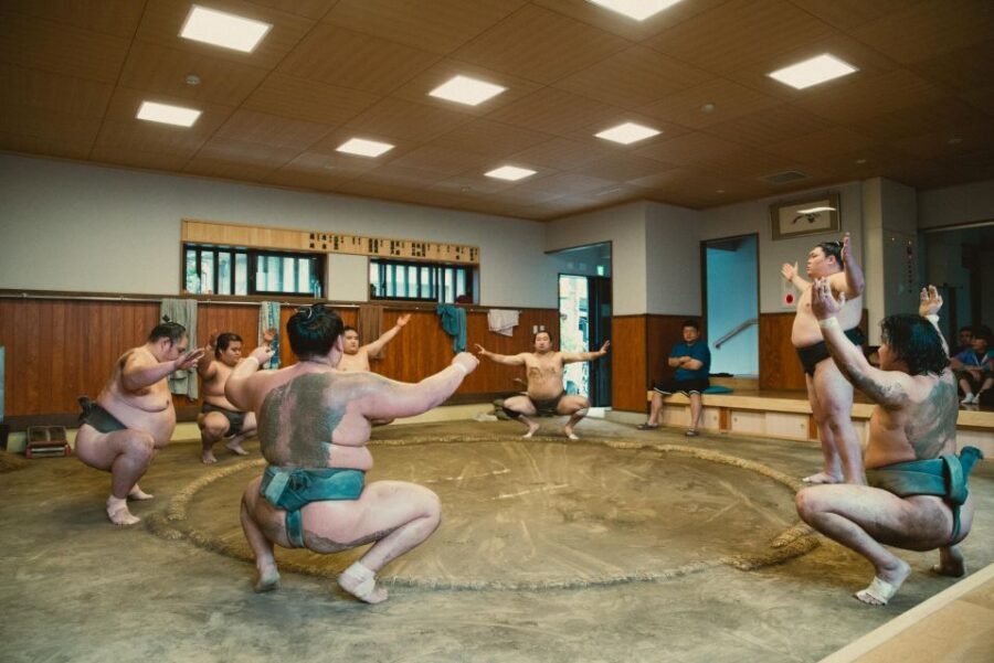 Tokyo: Sumo Morning Practice Tour at Sumida City - The rituals and Q&A that turn observation into understanding