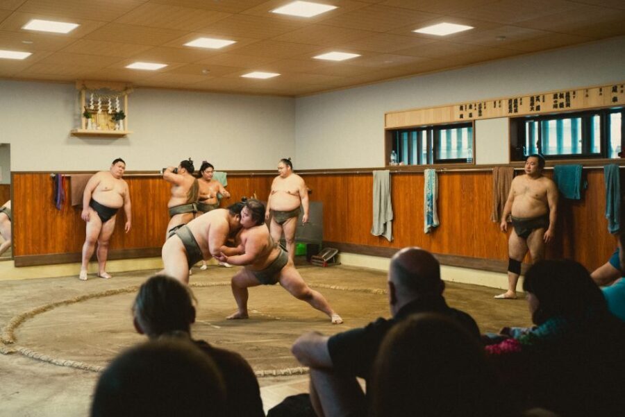Tokyo: Sumo Morning Practice Tour at Sumida City - Price and value: what $116 buys in Tokyo sumo access