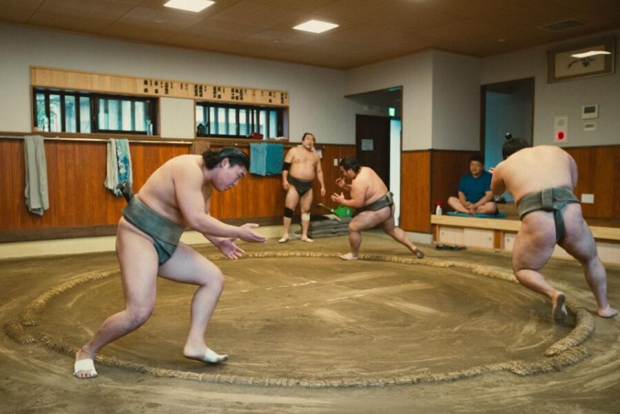 Tokyo: Sumo Morning Practice Tour at Sumida City - Who should book (and who should skip this morning stable session)