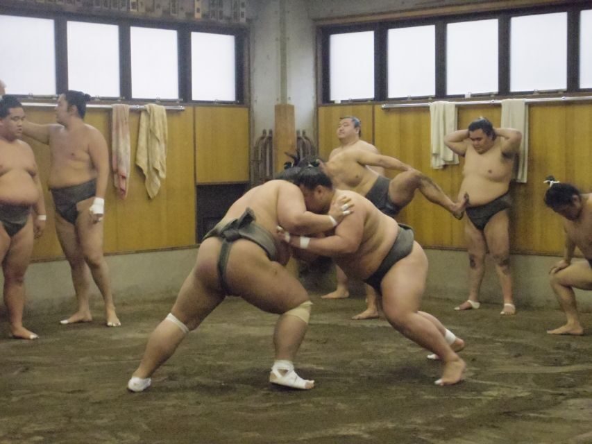 Tokyo: Sumo Morning Practice Viewing Tour - Key things to know before you go