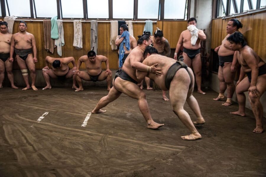 Tokyo: Sumo Morning Practice Viewing Tour - FAQ