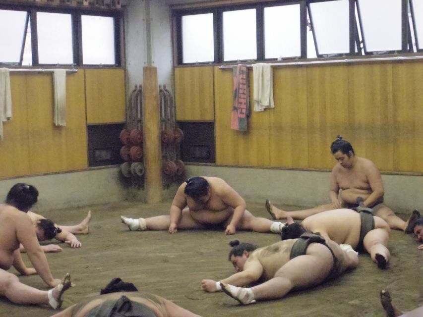Tokyo: Sumo Morning Practice Viewing Tour - What you’ll actually see during sumo training