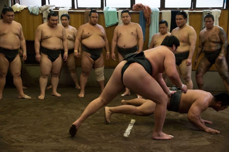 Tokyo: Sumo Morning Practice Viewing Tour - Price and value: is $81 worth it?
