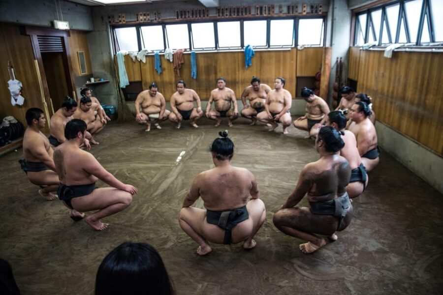 Tokyo: Sumo Morning Practice Viewing Tour - Should you book this Tokyo sumo morning practice tour?