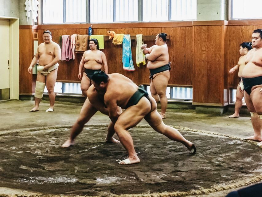 Tokyo: Sumo Morning Training Visit - Price and value: $77 for access, not a tournament show