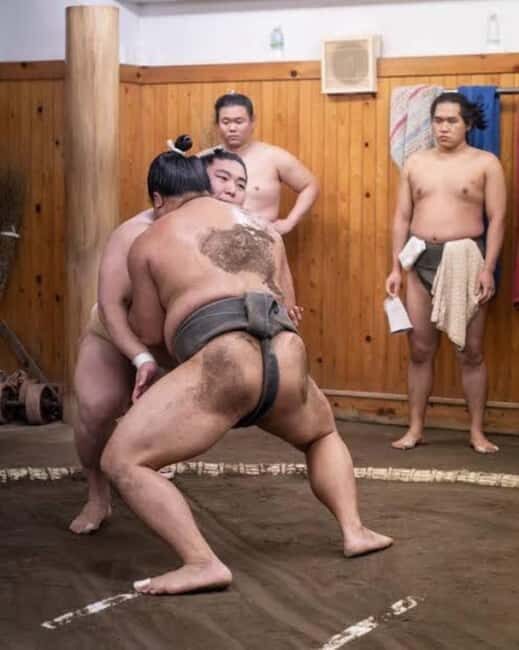 Tokyo: Sumo Show and Experience in Shinjuku - Key highlights in Shinjuku sumo