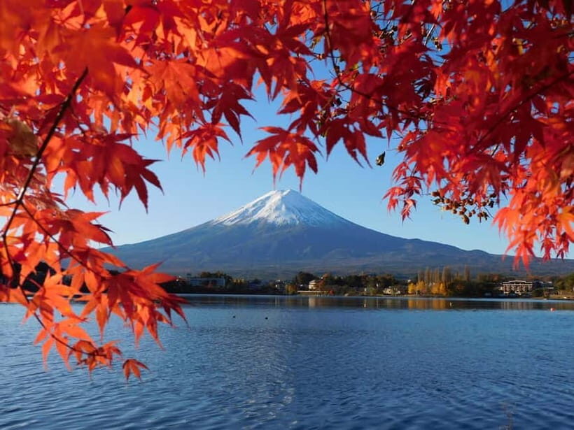 Tokyo:Mt.Fuji,Kawaguchiko Oishi Park,Arakurayama Sengen Park - Key highlights worth your attention