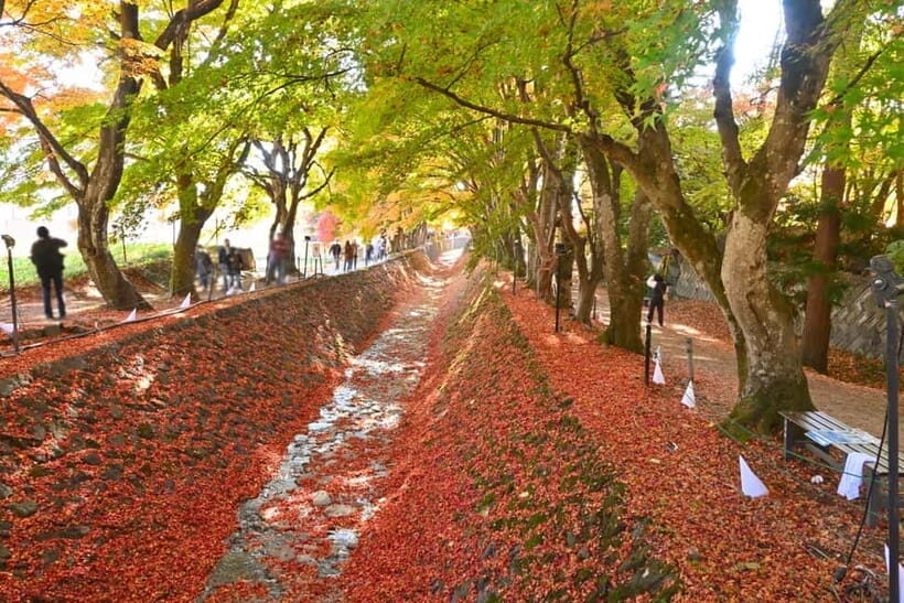 Tokyo:Mt.Fuji,Kawaguchiko Oishi Park,Arakurayama Sengen Park - Kawaguchiko Craft Park: lunch + shopping with Fuji nearby