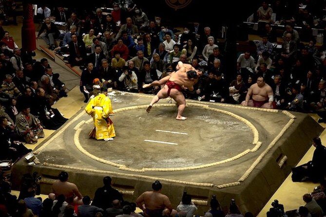 Ultimate Sumo Tournament: Tokyo, Osaka, Nagoya, Fukuoka - Nagoya at IG Arena: perfect if you like a calmer pace