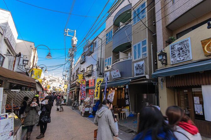 Yanaka Walking Tour: Historic and Traditional District of Tokyo - Key points before you go